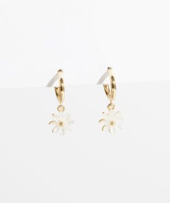 Zestwave.shop8c67b36c55 2