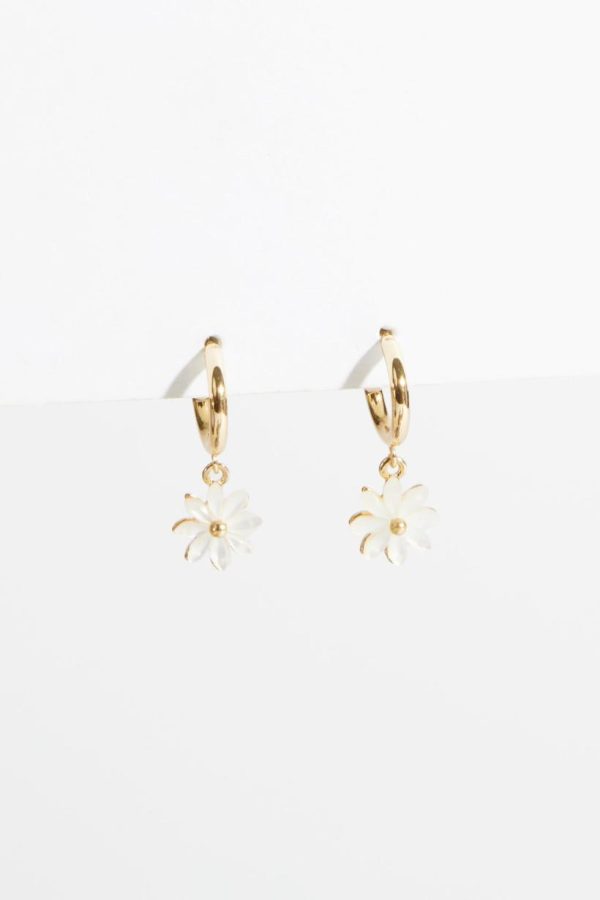 Zestwave.shop8c67b36c55 2