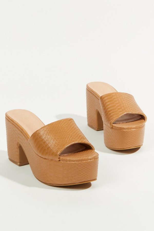 Zestwave.shopba785534ef 1