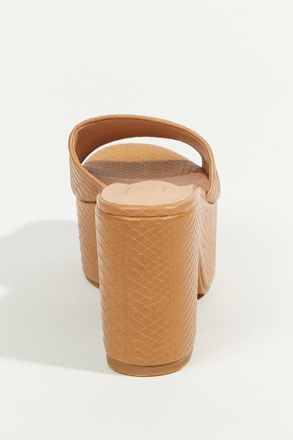 Zestwave.shopba785534ef 3